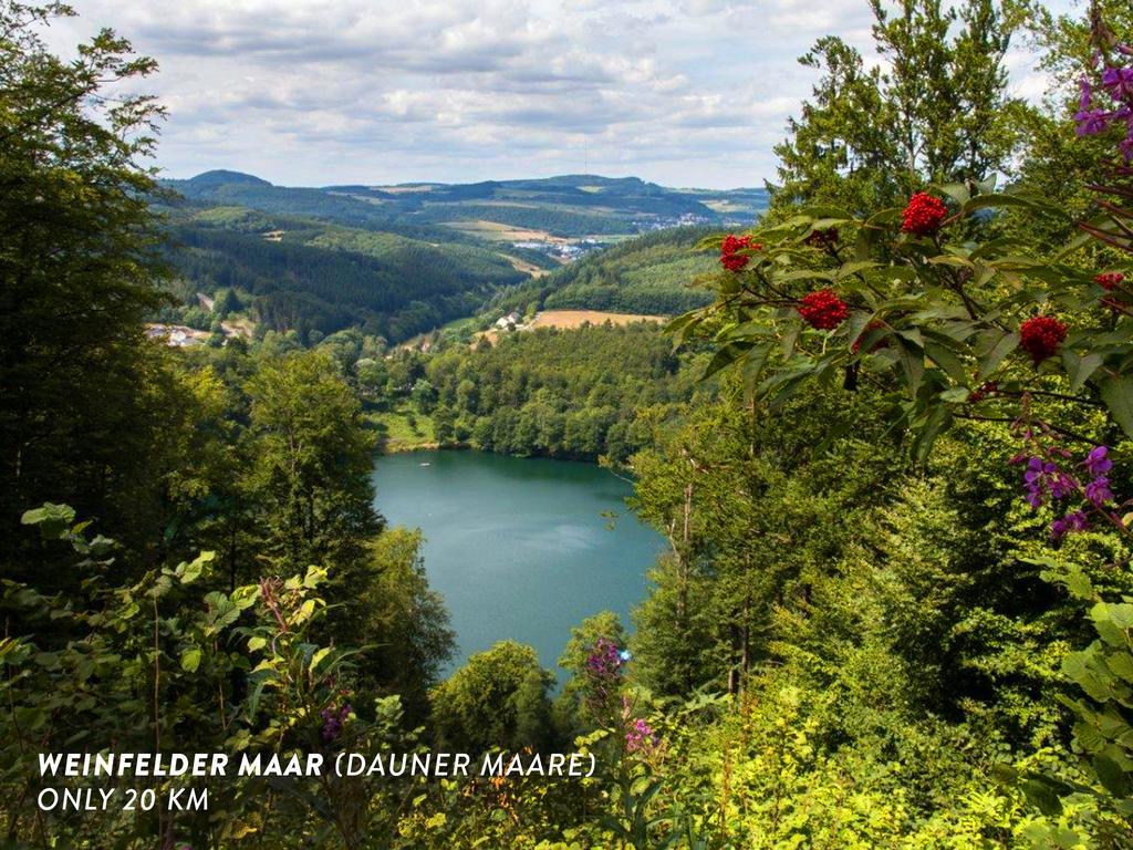 Vila Gastehaus Raths Kelberg Pokoj fotografie